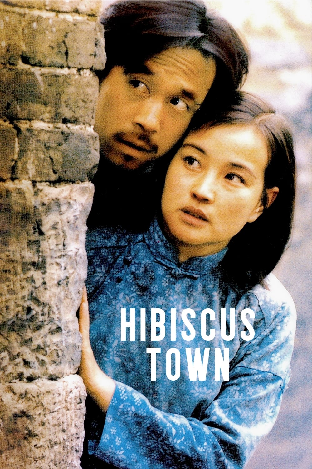 hibiscues town